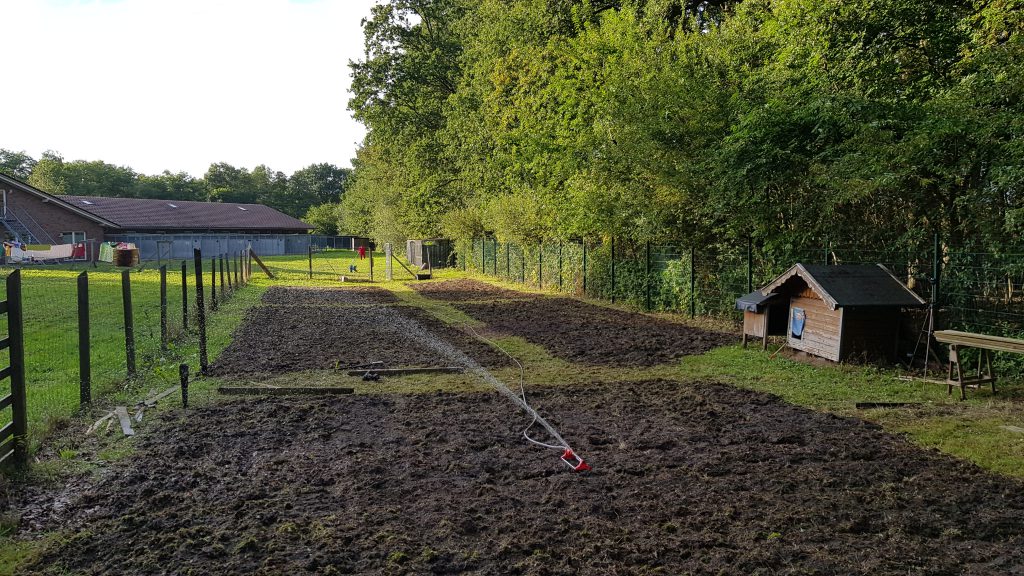Mein Garten
