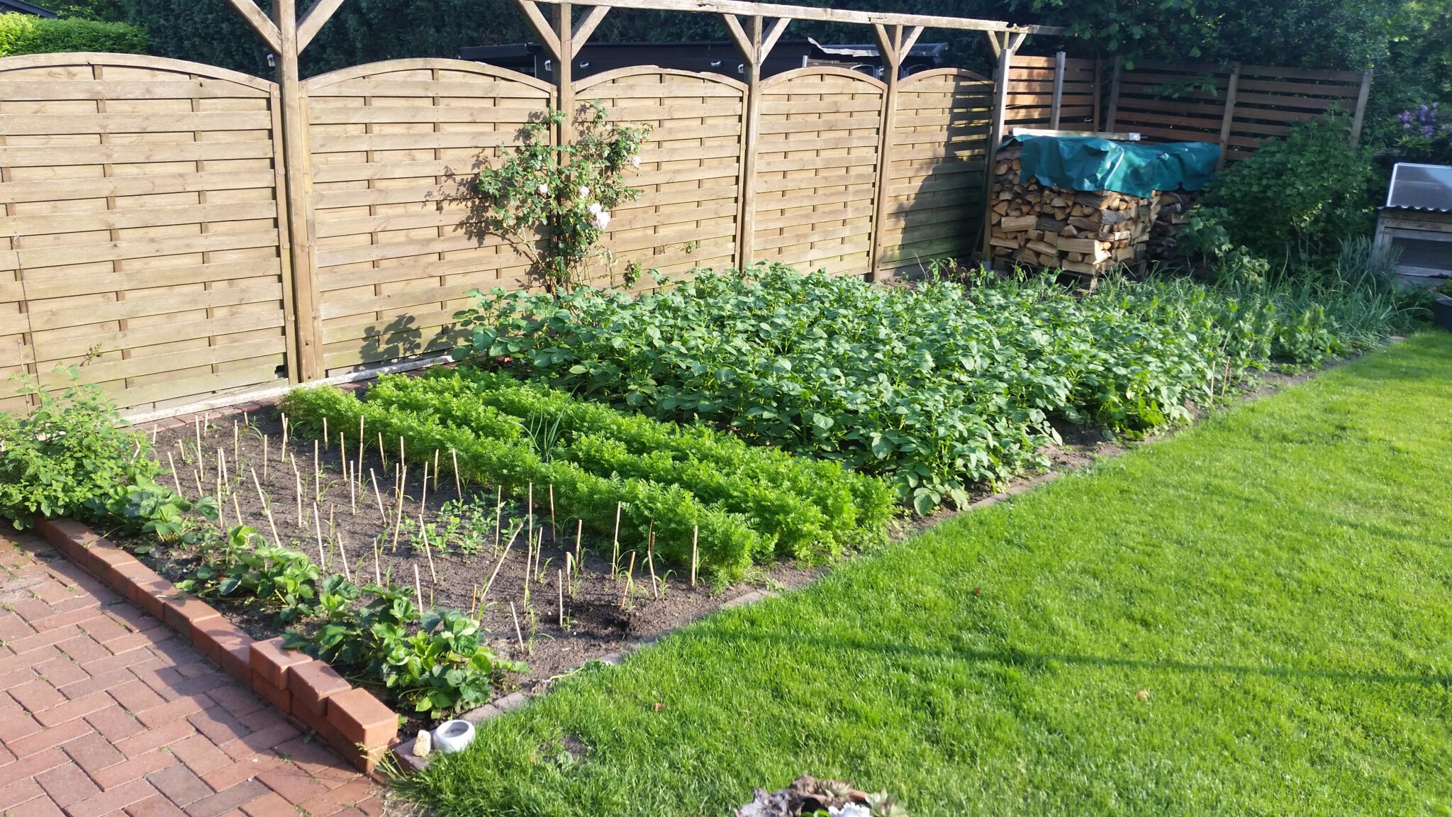Meine Geschichte Felix Hobby Garten
